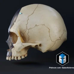 Infinite Oddball Skull - 3D Print Files -Galacticarmory Store 10002 4 d0fed885 2221 427e bda2 1490b78afa63