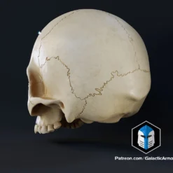 Infinite Oddball Skull - 3D Print Files -Galacticarmory Store 10003 1 e23ba88c 02da 43a0 829c a0cdcef09640