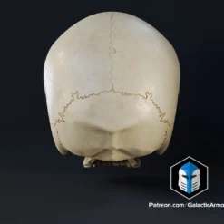 Infinite Oddball Skull - 3D Print Files -Galacticarmory Store 10004 1 4eacc37e 1fa6 426e 987b 65c70ec5249b