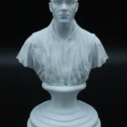 Darth Maul Bust - DIY